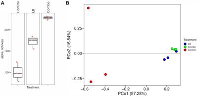 Inoculation with Lentilactobacillus buchneri alone or in combination with Lentilactobacillus hilgardii modifies gene expression, fermentation profile, and starch digestibility in high-moisture corn